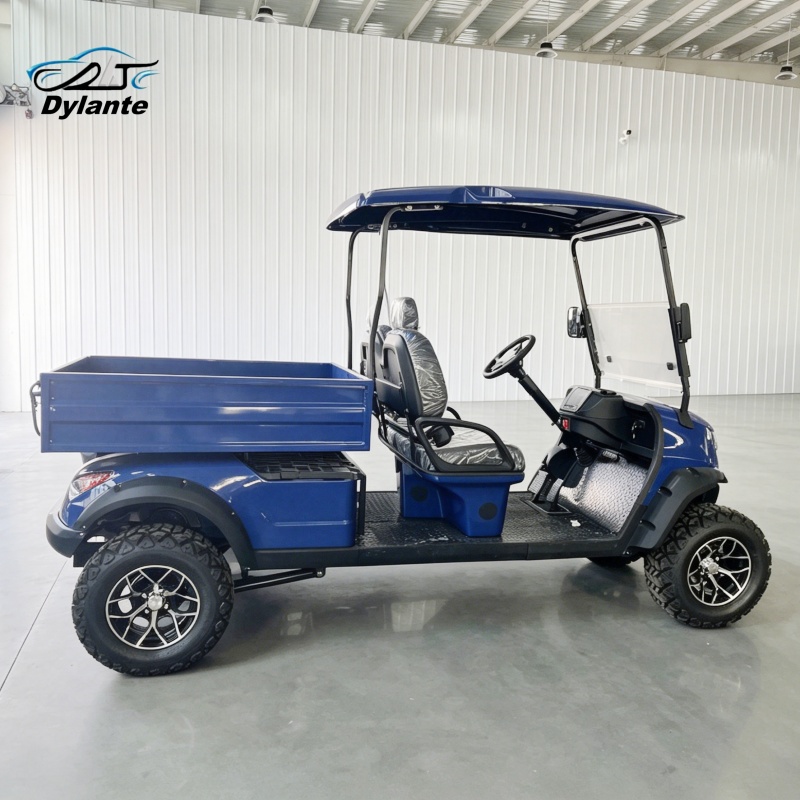 2-Seater Electric Utility Vehi - Urban Farming Or The 评论和价格